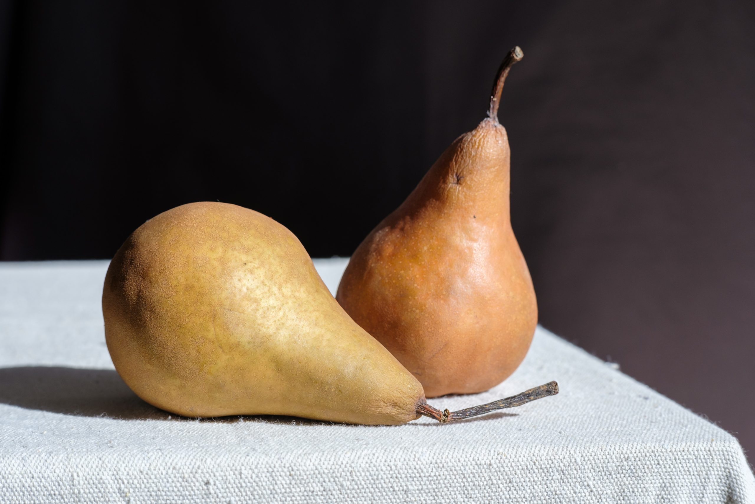 Painting Still Life | Online Course